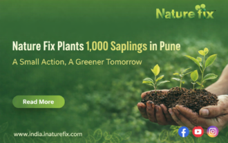 Nature Fix plants 1,000 saplings in Pune as part of its sustainability initiative, symbolizing a small action toward a greener tomorrow.
